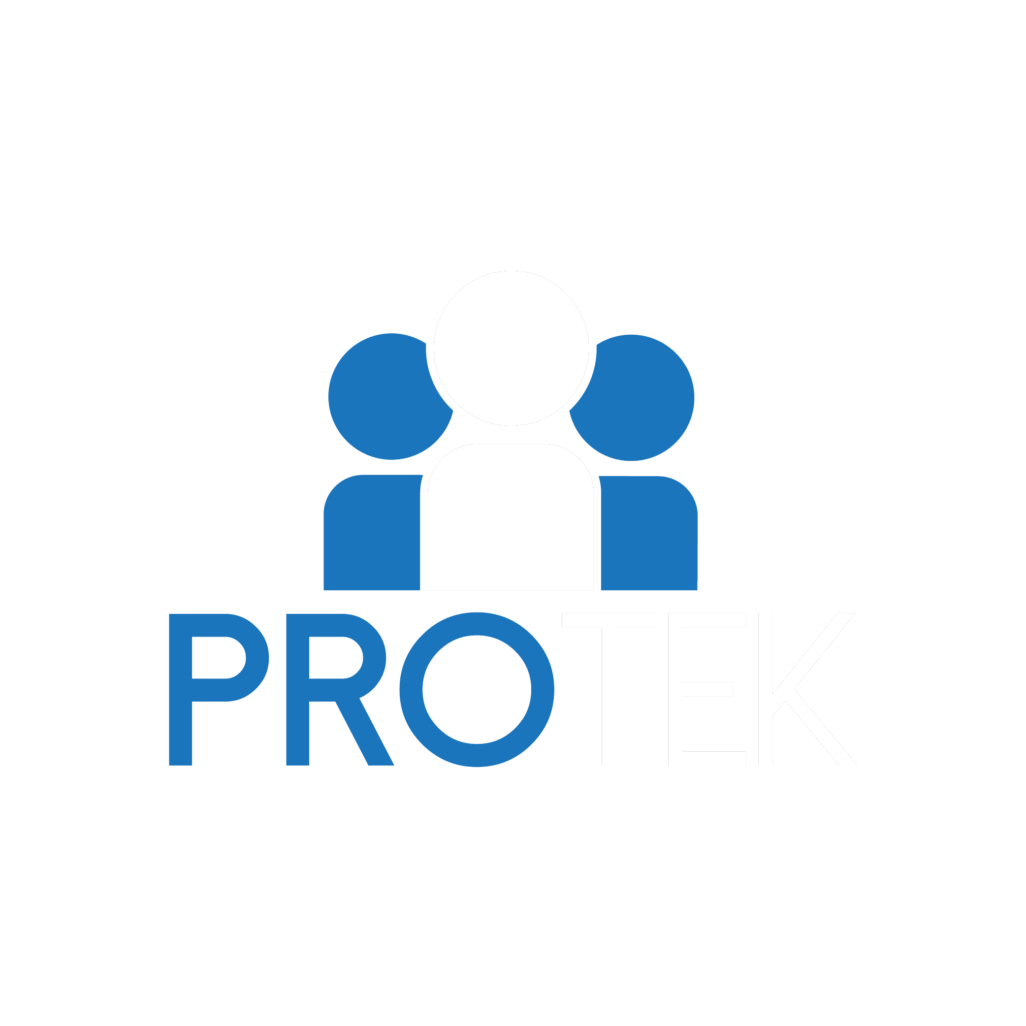Protek Consulting